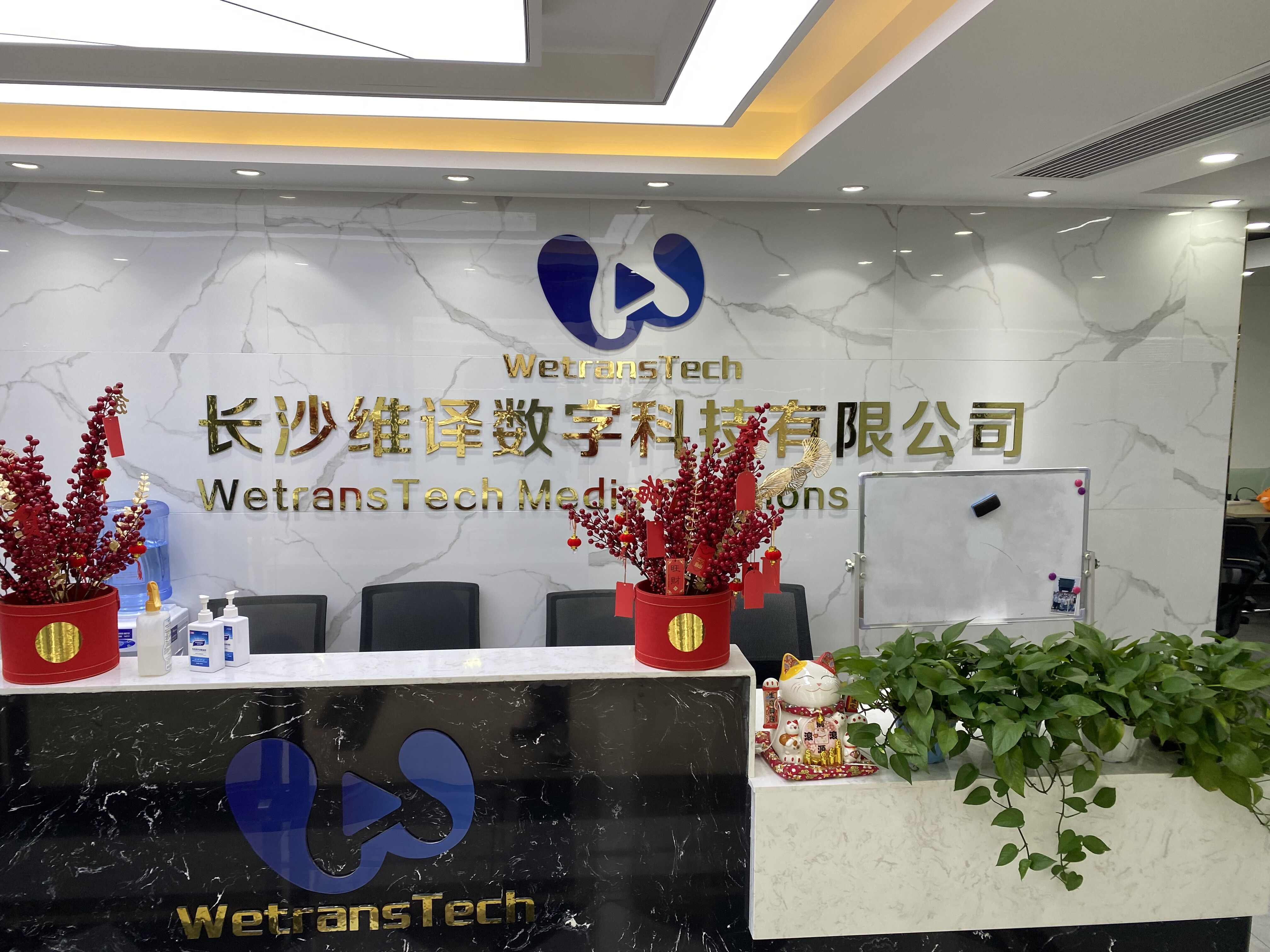 WetransTech company overview - view 1