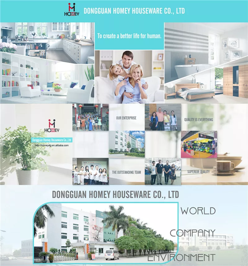Dongguan Homey HousewareCo,ltd company overview - view 1