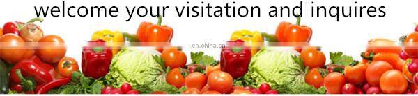 high productivity fruit nuclear gravity selector stoning machine