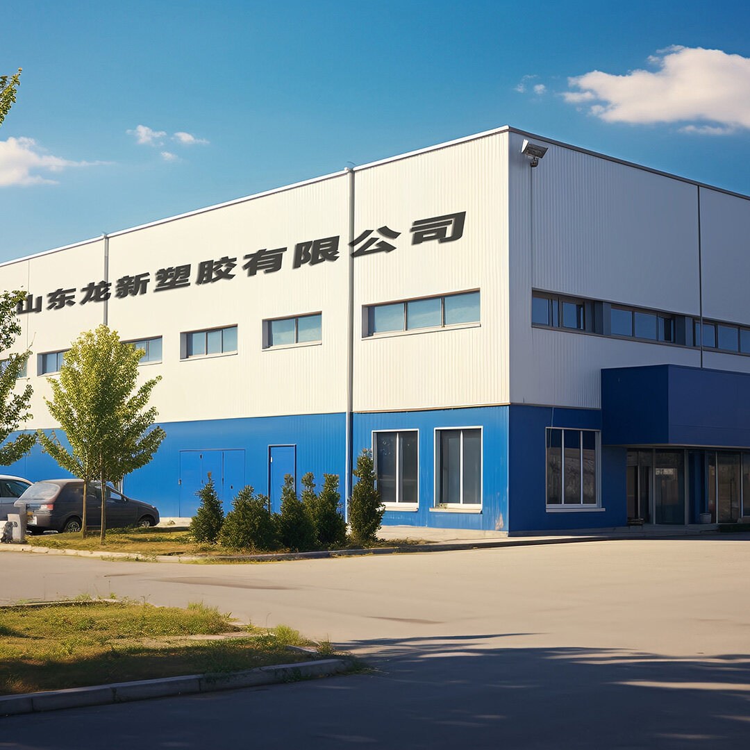 Ningjin Longxin Plastic Co., Ltd. company overview - view 1