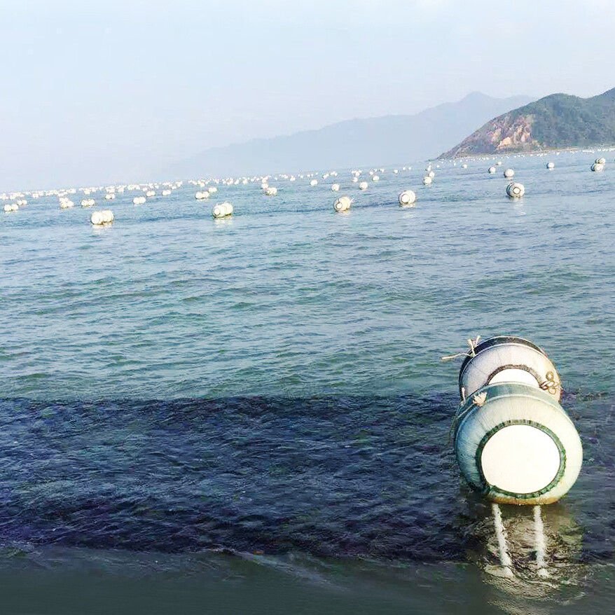 Shantou Jiasheng Food Technology Co.,Ltd. company overview - view 2