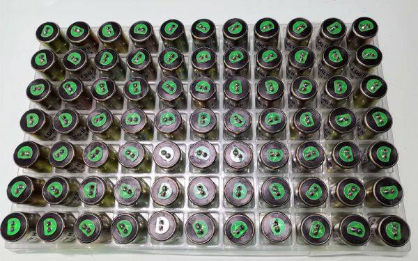 EGL Equipment Services Co.,Ltd company overview - view 2