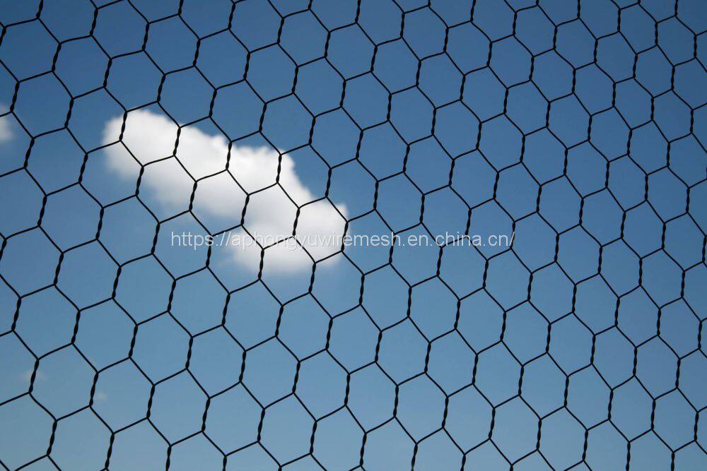 26197867_2062731183753718_1549675737409847687_o