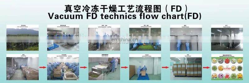 Commercial banana chips fruit chips vacuum Freeze Dryer