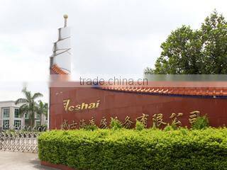 Zhaoqing Veshai Handling Equipment Co., Ltd. company overview - view 2