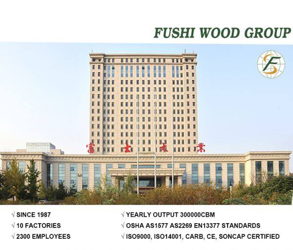 Shandong Fushi Wood Group company overview - view 1