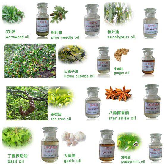 Jiangxi Global Natural Spice Co., Ltd. company overview - view 1
