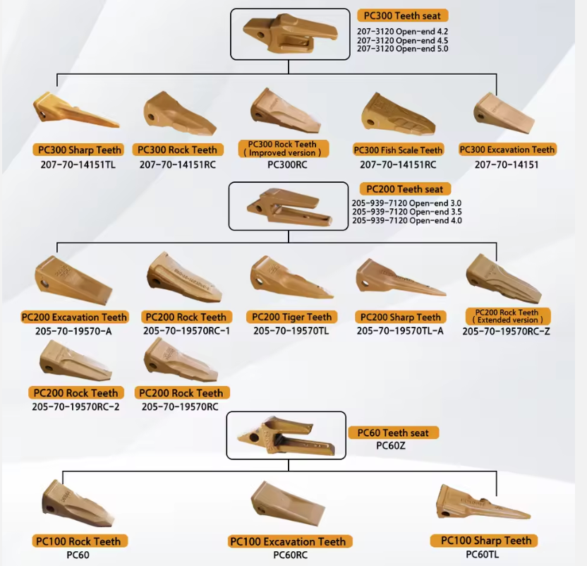 微信图片_20251222214416_63_1