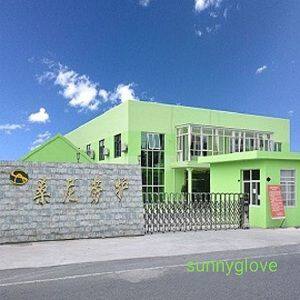 Rudong Sunny Gloves company overview - view 1