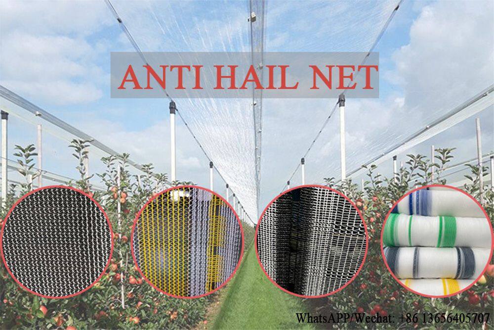 ANTI HAIL NET-CT.jpg