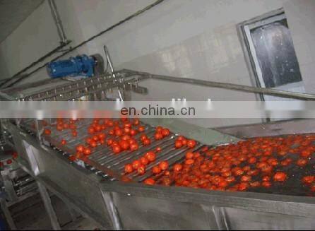full Industrial orange washing and sorting machines