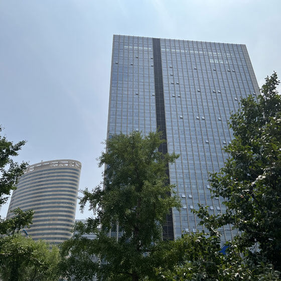 China Hongxing International Trade Co., Limited company overview - view 1