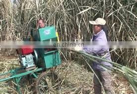 sugarcane peeler for sugarcane processing