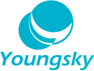 Hangzhou Youngsky Technology Co., Ltd.