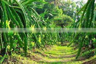 Thanh Dat Agricultural Seafood Processing Company Limited company overview - view 1