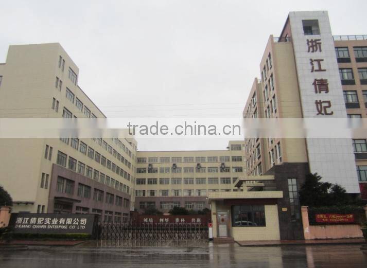 Zhejiang Qianfei Enterprise Co., Ltd. company overview - view 2