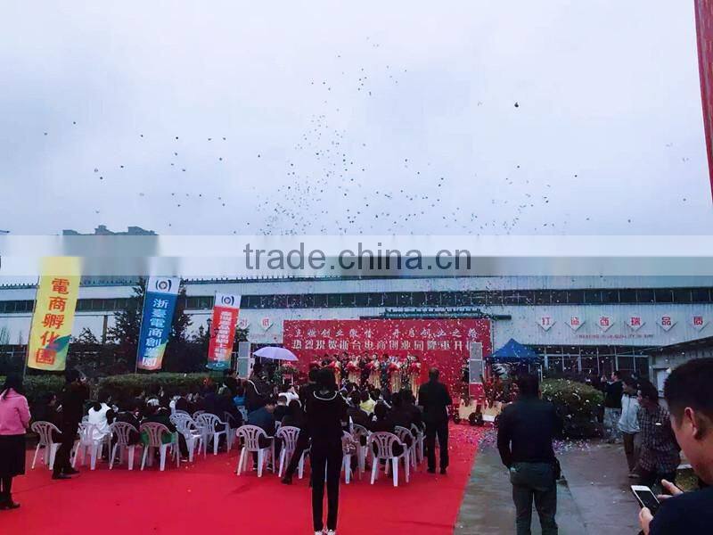 Cangnan Siri Packaging Co., Ltd. company overview - view 1