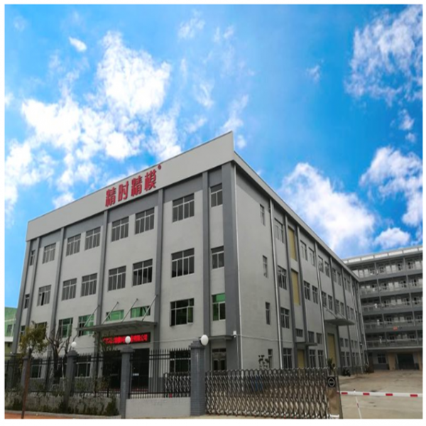 Guangdong Jingshijingmo Technology Co., Ltd company overview - view 1