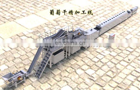 raisin making machine dried grapes making machine for sale