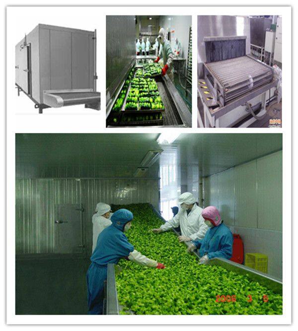 Small Quick Spiral Best Iqf Spiral Tunnel Chiller and Blast Freezing Freezer Fridge Machine Equipment for Food Ice Cream Cost