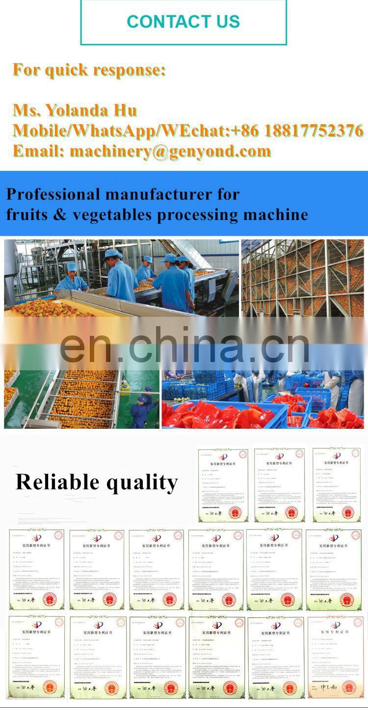 high efficiency fruit leather making machine