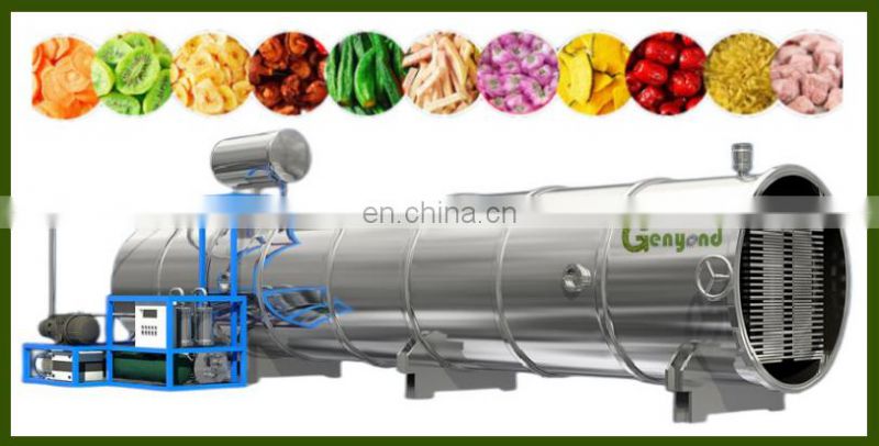 Factory genyond vacuum lyophilization lyophilized freeze dried FD food making machine lyophilizer freeze drying machine