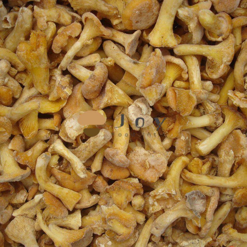 IQF frozen chantarelles cantharellus cibarius