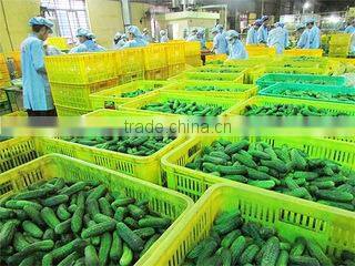 Binh Minh Food Joint Stock Company company overview - view 3