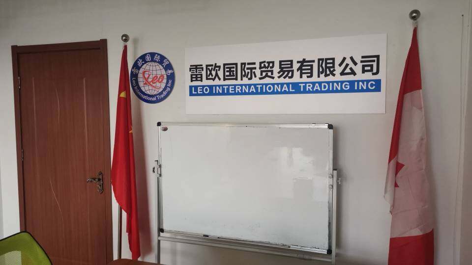 Shandong Leo International Trading Inc. company overview - view 1