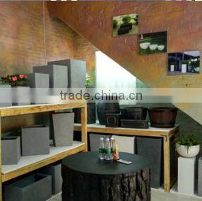 Guangdong Dragon Empire Trade Co., Limited company overview - view 2