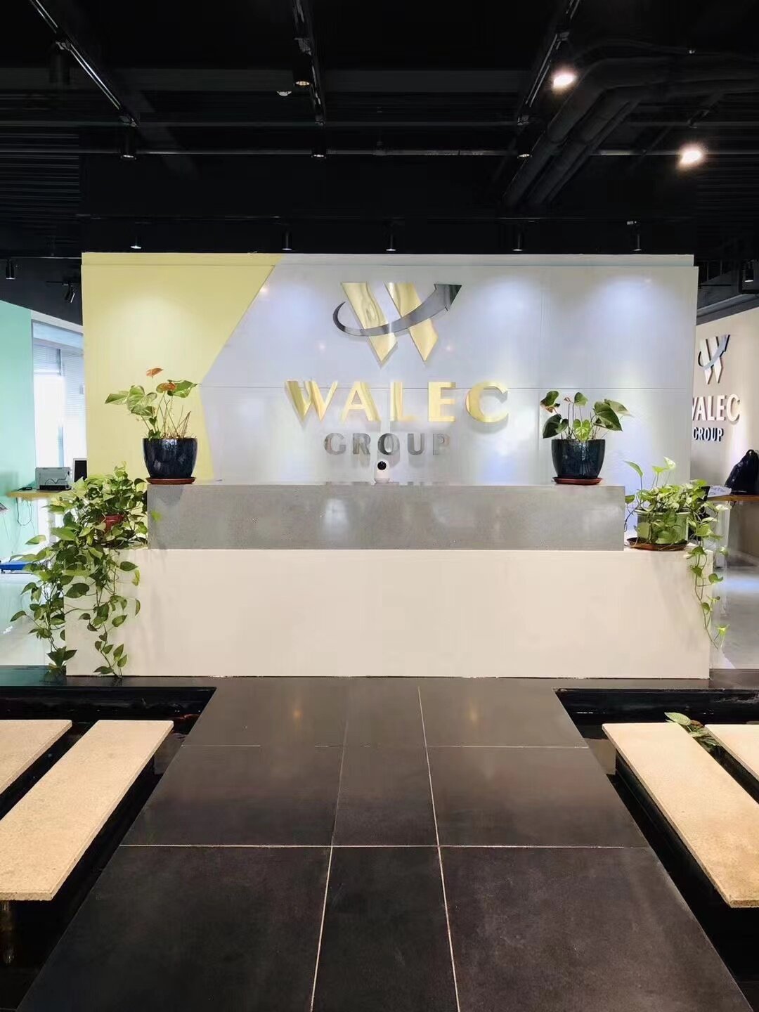 Liaoning Walec Group Co., Ltd company overview - view 1