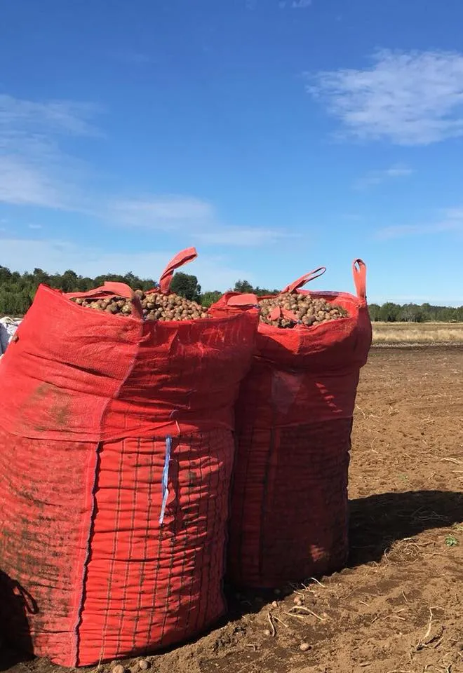 4e594471-2eaa-497c-8045-c42ebae6d47c