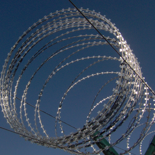 Razor wire (3).png