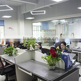 Shenzhen Ledwide Lighting Co., Ltd. company overview - view 2