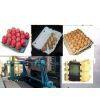 egg tray machine