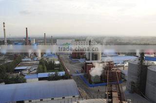 Henan Julong Biological Engineering Co., Ltd. company overview - view 3