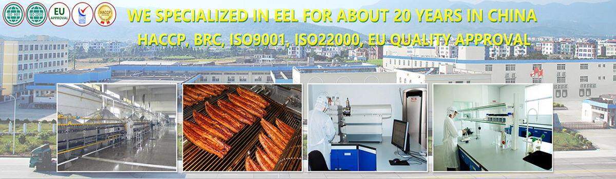 Jiangxi Hengxing Food Co., Ltd. company overview - view 1