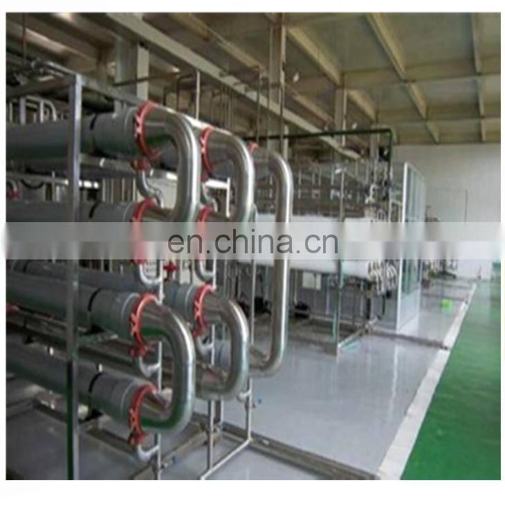 shanghai Natural Chicory Root Extract 90% inulin powder processing line