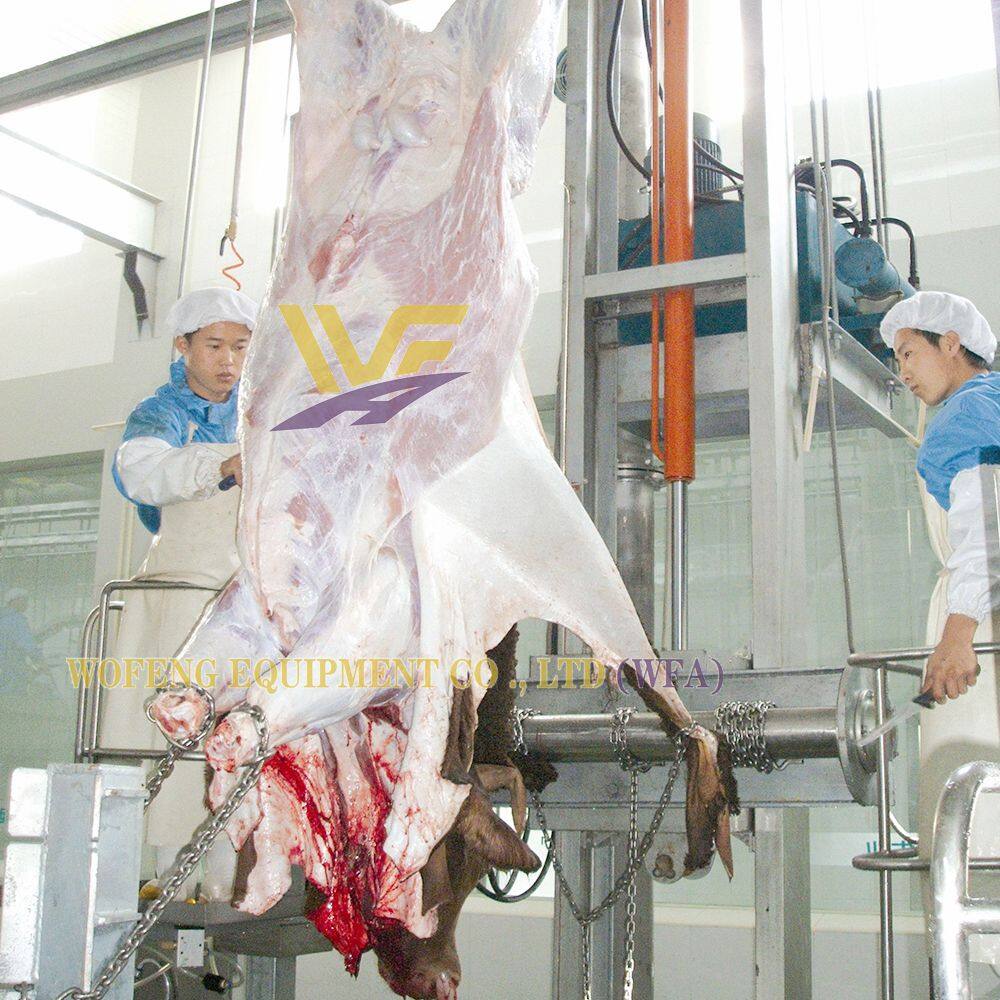 cattle skinning machine 6.JPG