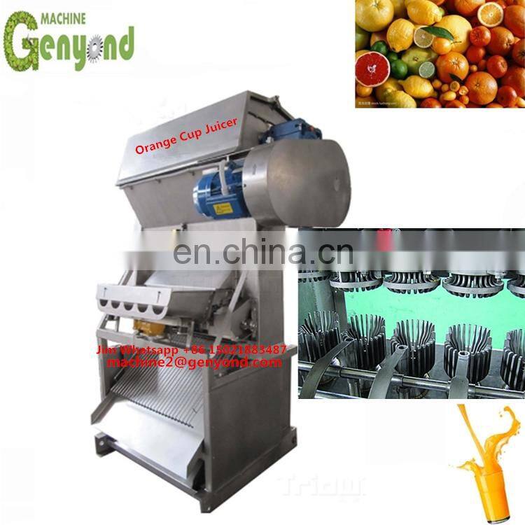 Beverage Fresh Fruit Juice Processing Plant Line Production Line