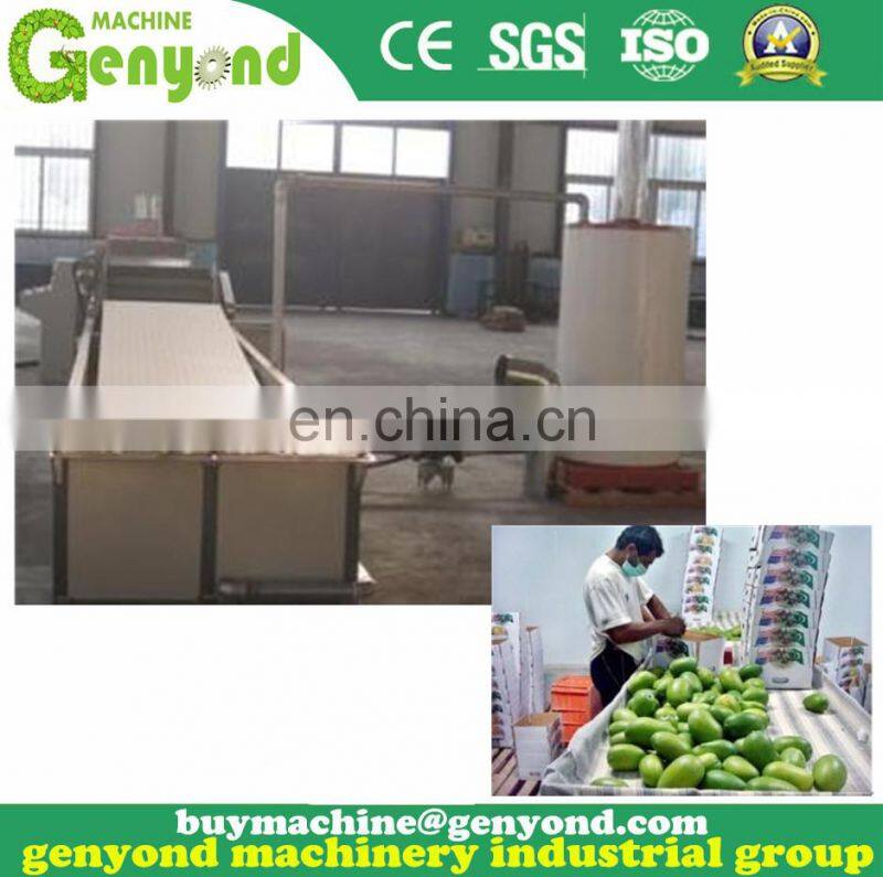 Raw mango cutting machine