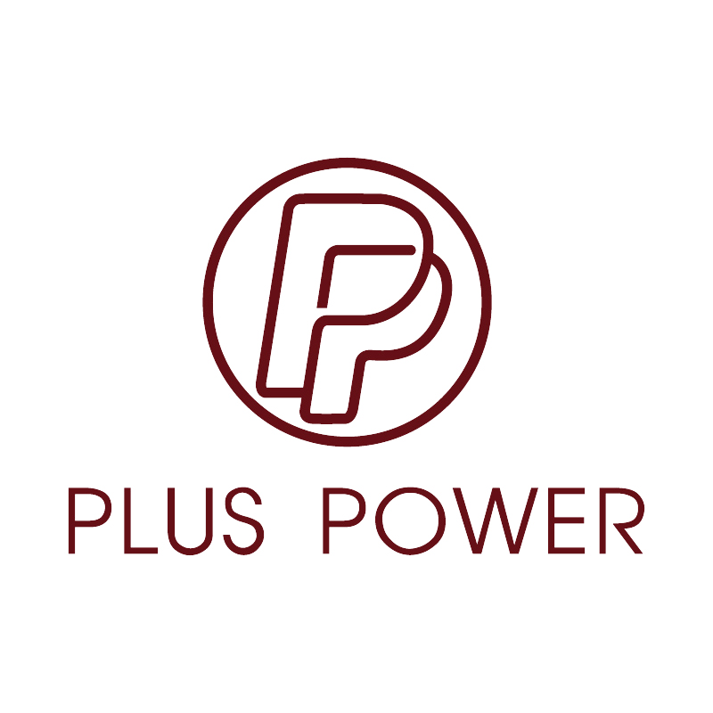 Dongguan Plus Power Co., Ltd.