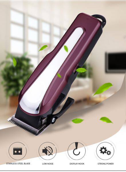 Ao Ao Beauty Hair Clipper company overview - view 1