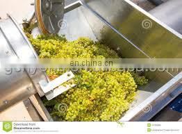 automatic grape crusher destemmer machine for sale