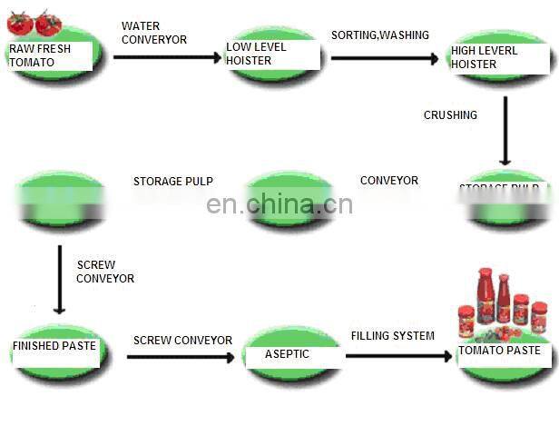 Complete Tomato Paste Making Machine with packing line