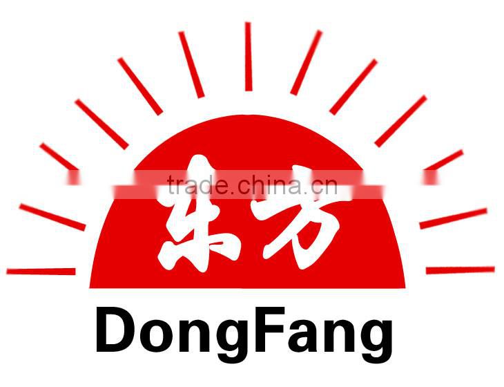 Dongfang China