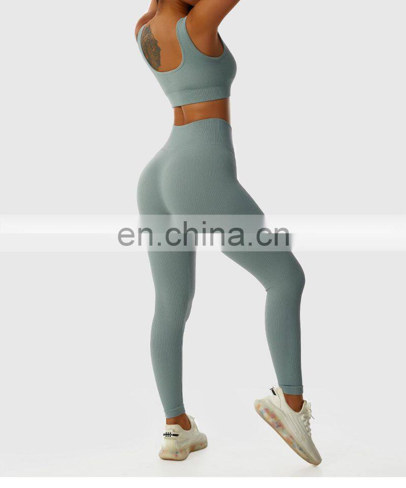 Seamless Sexy Womens Gym Wear V Neck Tops Wholesale Ribbed Workout Sports Bras