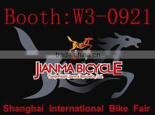Tianjin Feichi Jianma Bicycle Co., Ltd. company overview - view 3