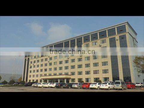 Dongyue Machinery Group Co., Ltd. company overview - view 1