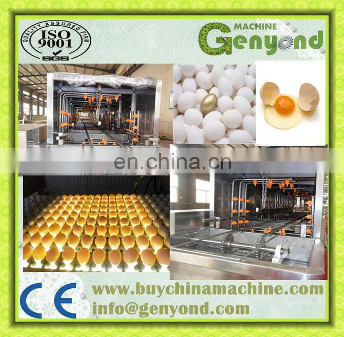 automatic egg washer/chicken egg washing machine